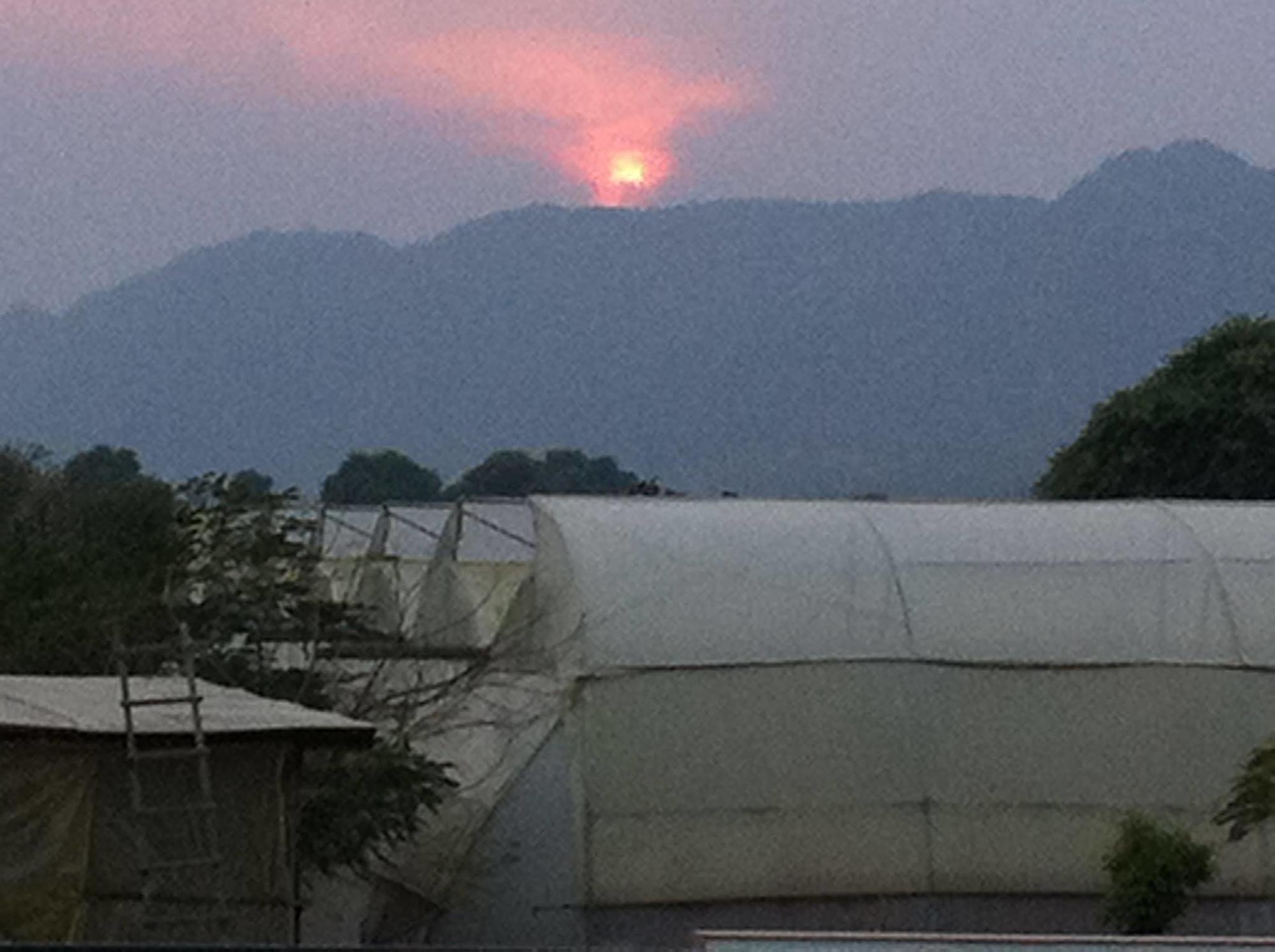 The Greenhouse Resort Pushkar Bagian luar foto